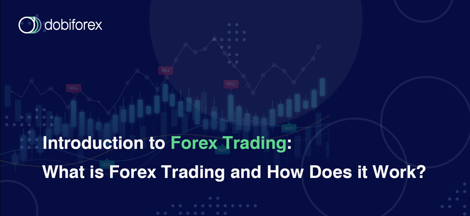 découvrez les bases du forex avec notre introduction complète. apprenez comment fonctionnent les marchés des devises, les stratégies de trading essentielles et les outils nécessaires pour débuter dans le monde passionnant du trading forex.