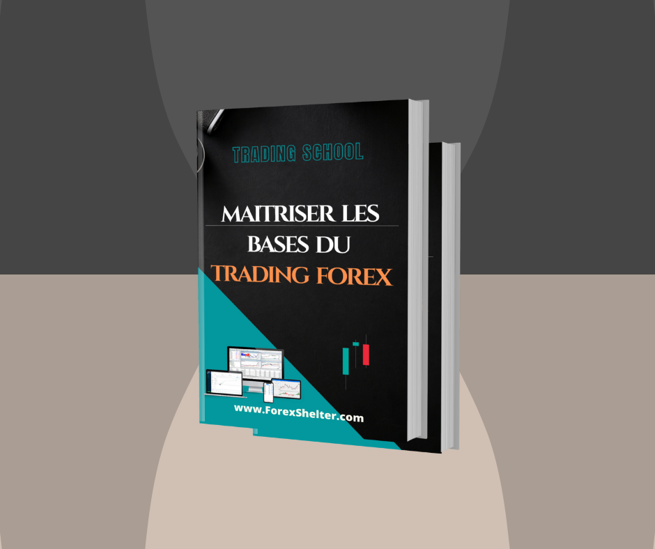 Le forex et le trading : comprendre les bases