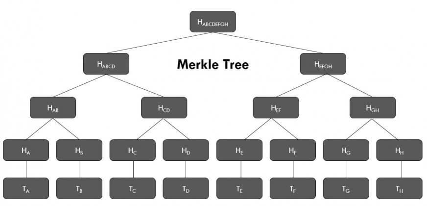 Les arbres de Merkle dans Bitcoin