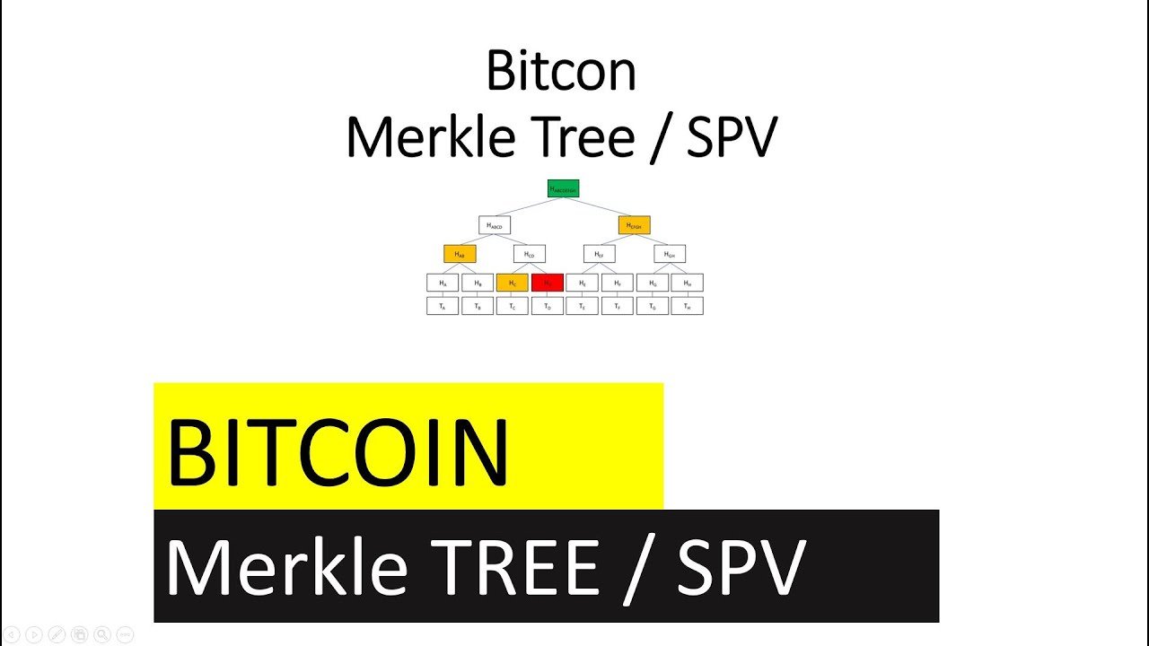 découvrez les arbres de merkle, une fonctionnalité essentielle du bitcoin qui assure l'intégrité des données et la sécurité des transactions. apprenez comment cette structure en arbre permet de vérifier rapidement les blocs de transactions tout en garantissant la transparence et la décentralisation de la blockchain.