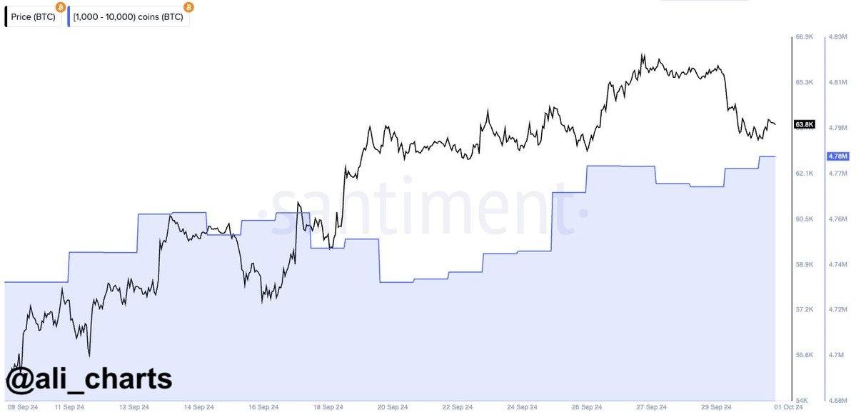 découvrez les dernières fluctuations du bitcoin, analysez les tendances du marché et comprenez les facteurs influençant la valeur de cette cryptomonnaie dynamique. restez informé pour maximiser vos investissements.