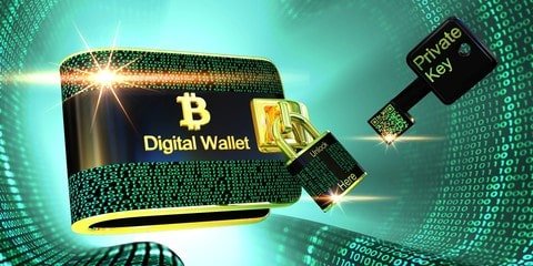 découvrez notre sélection de wallets bitcoin physiques, alliant sécurité et praticité pour stocker vos crypto-monnaies en toute confiance. protégez vos investissements avec un portefeuille matériel de qualité.